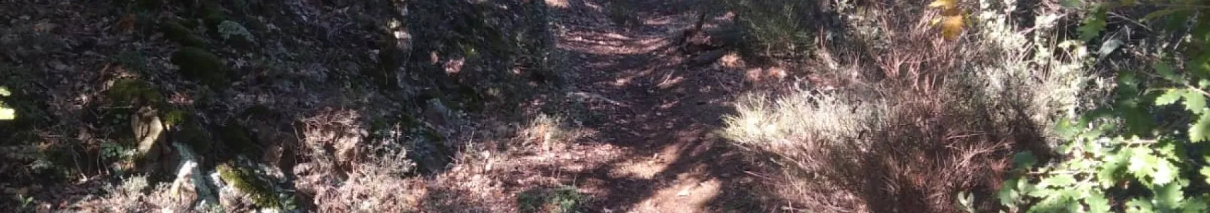 Trail du Sou de Tournon