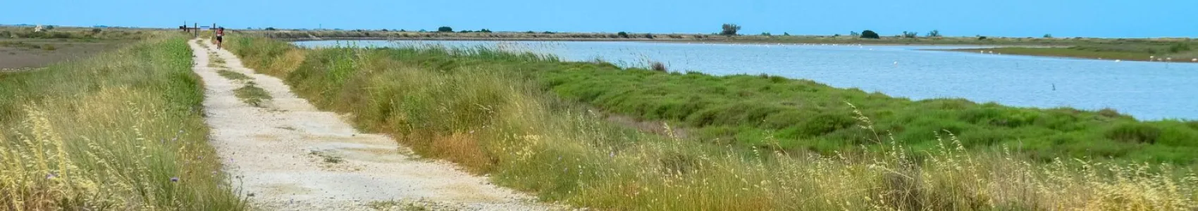 Grand Raid de Camargue