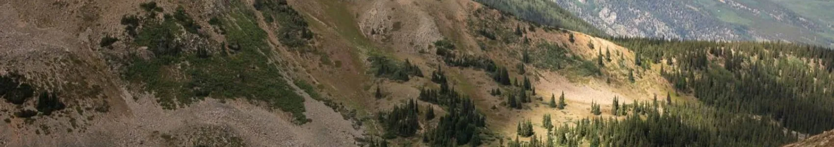 Leadville Trail 100 Run