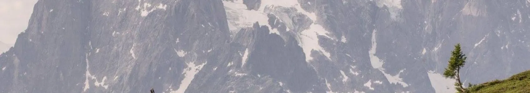 Marathon du Mont-Blanc