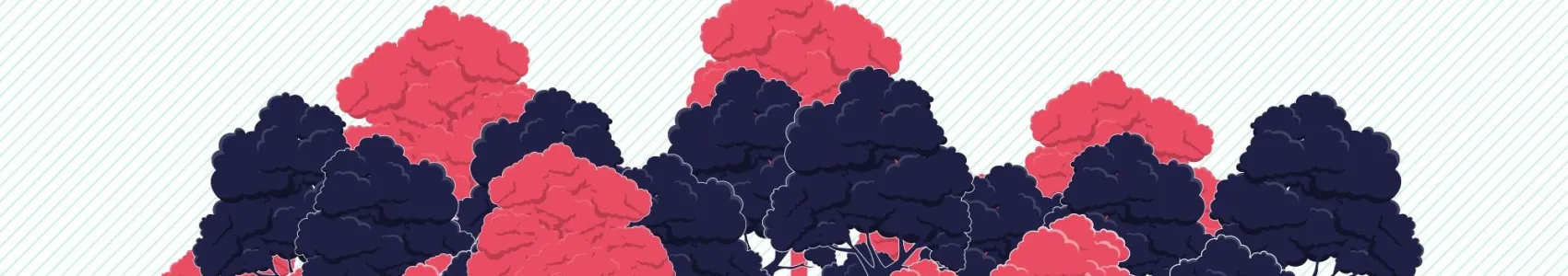 Les Foulées de l'Assurance