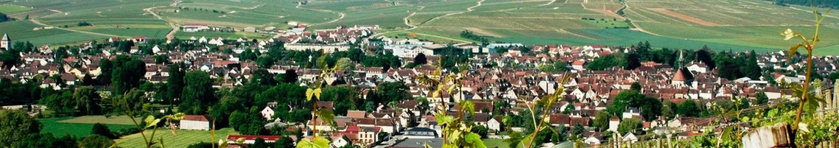 Marathon de Chablis
