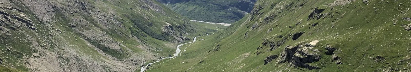 Trail des 5 Vals