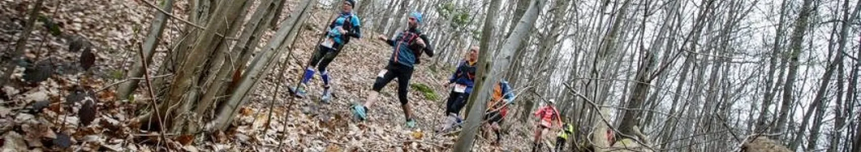 EcoTrail de Paris