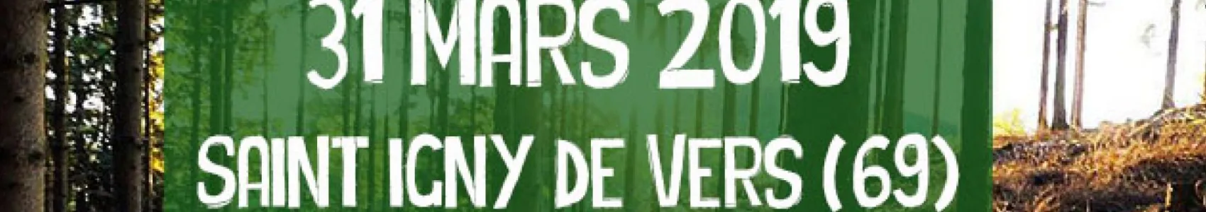 Trail du Sanglier