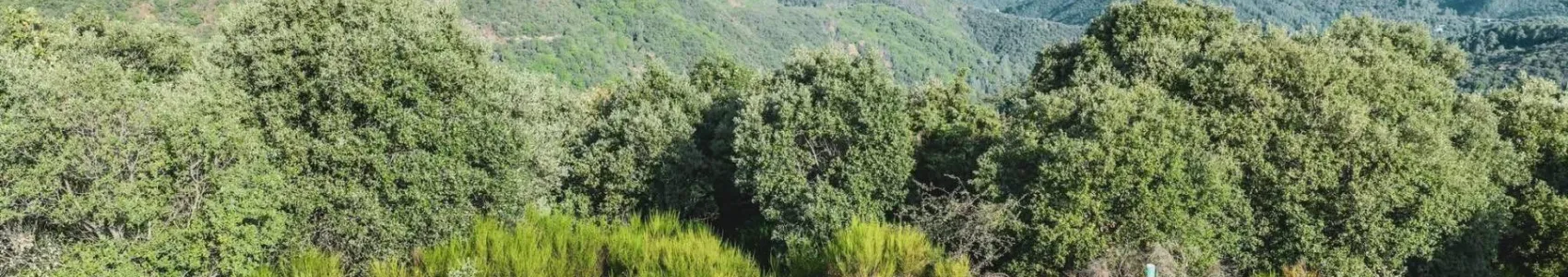 Grand Trail Cévenol