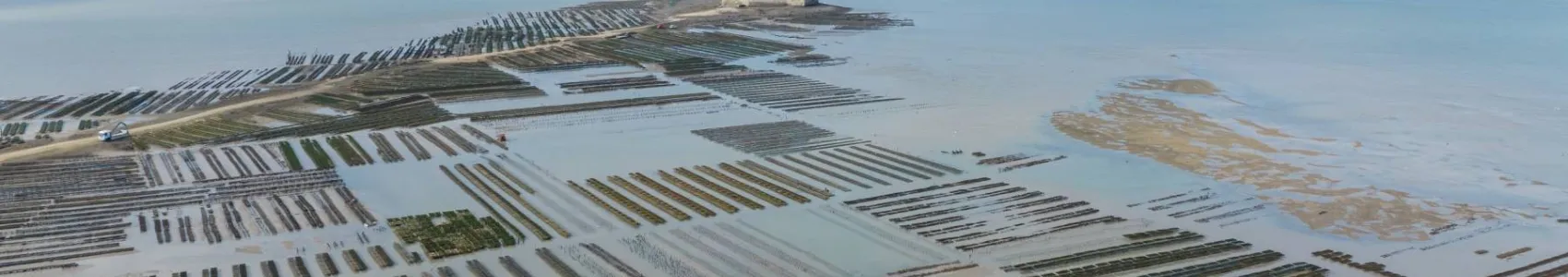 Trail de la Presqu'île de Fouras