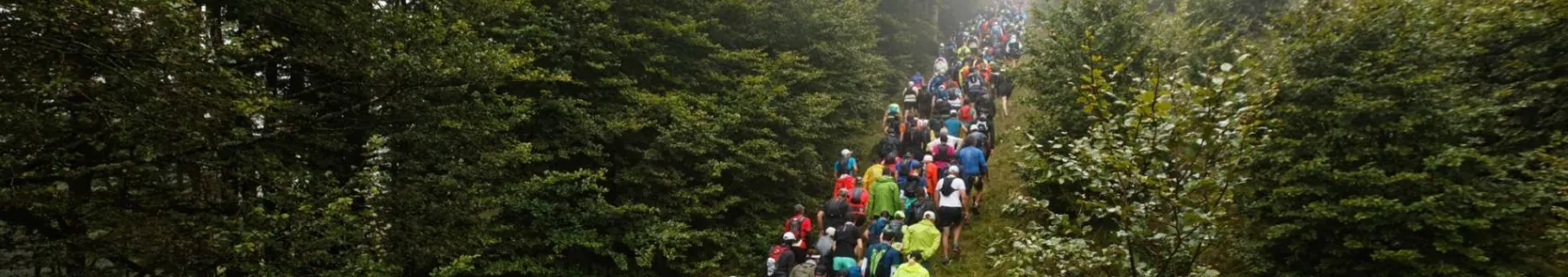 Les Crêtes Vosgiennes