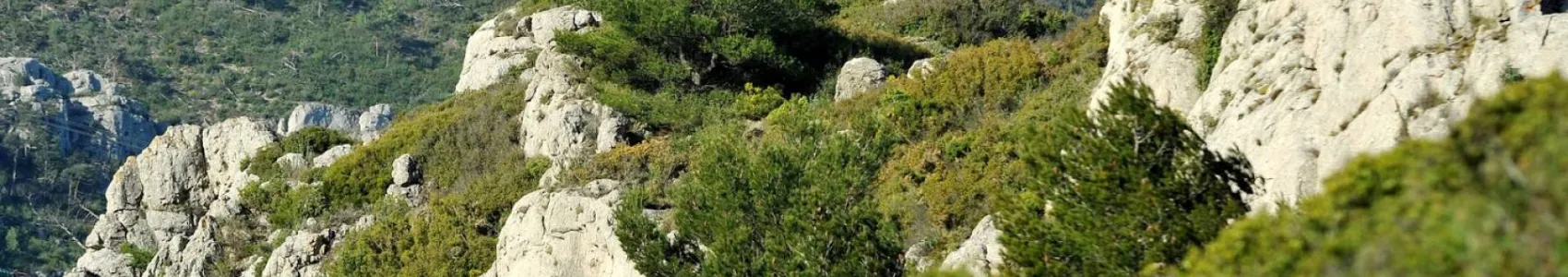 Trail de Mimet