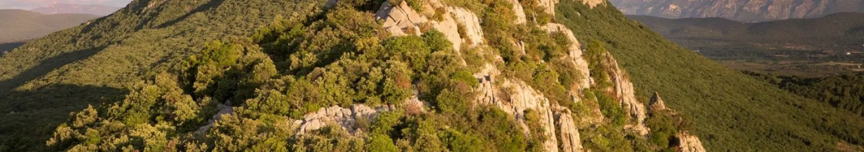 Festa Trail Pic Saint-Loup