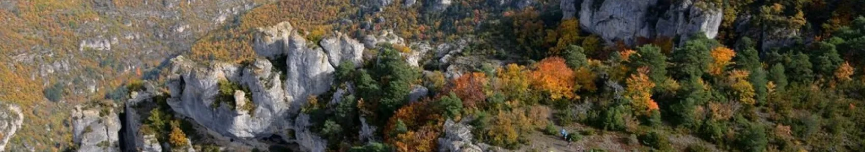 Festival des Templiers