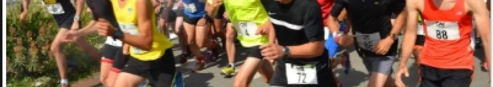 Trail de Barbâtre