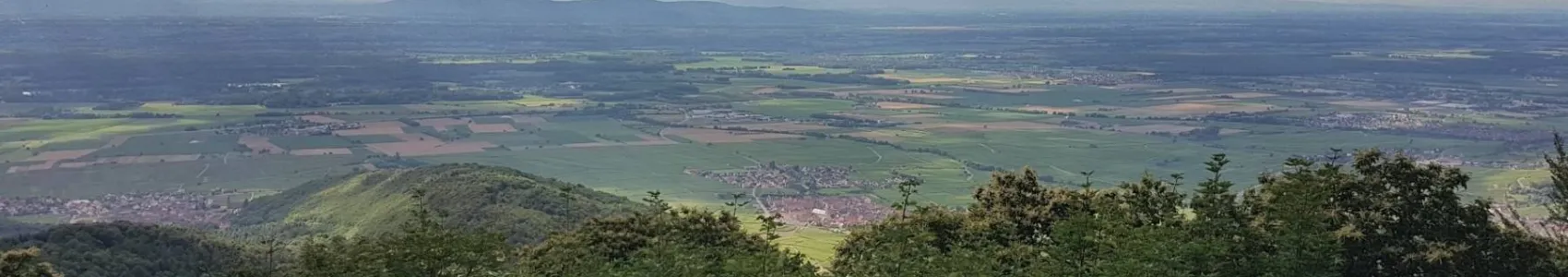 Ultra Trail du Haut Koenigsbourg