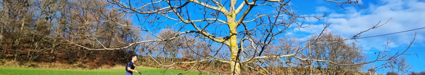 Trail Hivernal des Coursières
