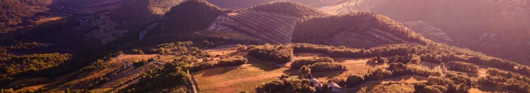Traversée des Dentelles de Montmirail