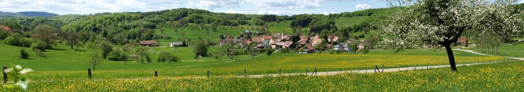 Les Courses du Jura Alsacien