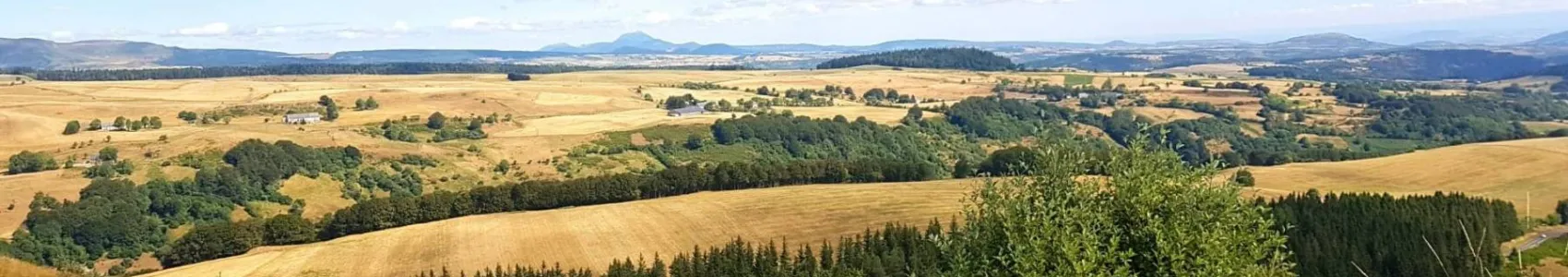 L’Envol de la Perdrix