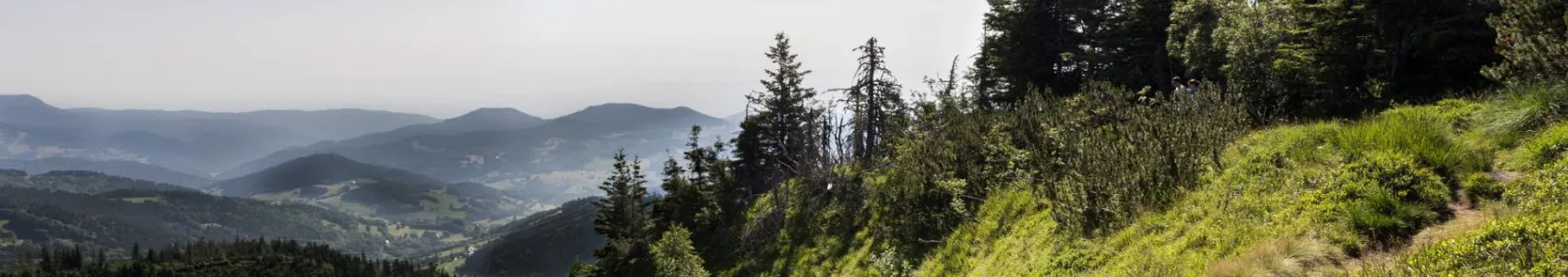 Trail du Pays Welche