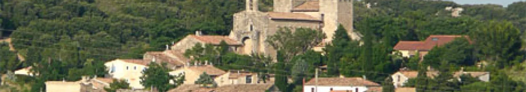 Sancti Boniti