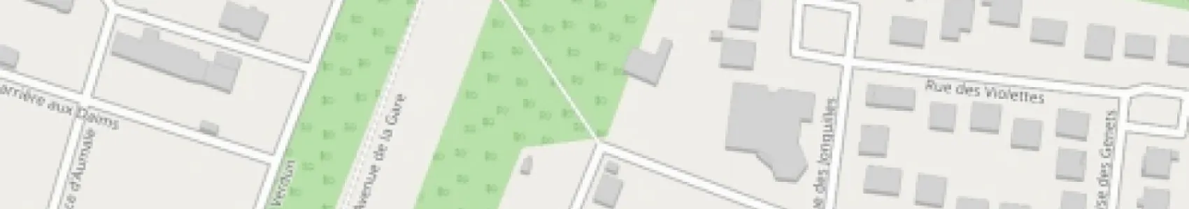 Les Foulées de l'Ardente