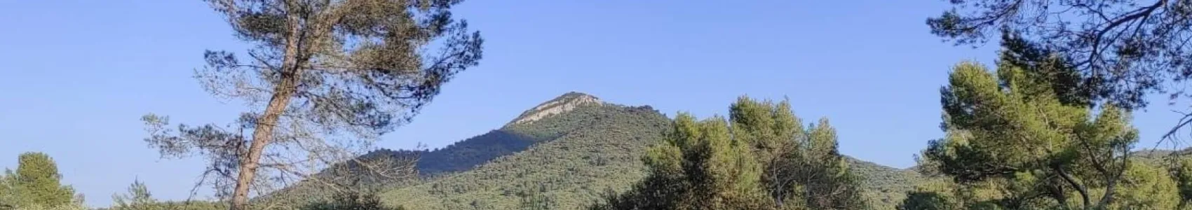 Gambade du Loubatas