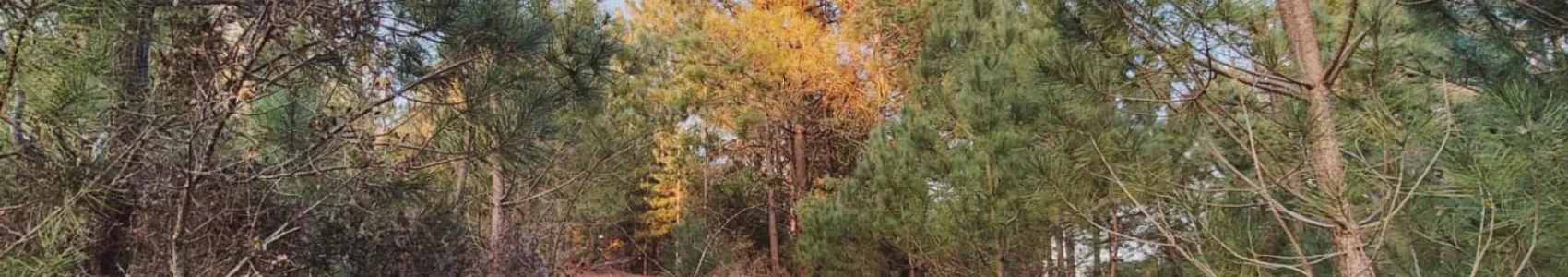 Trail de la Côte de Lumière