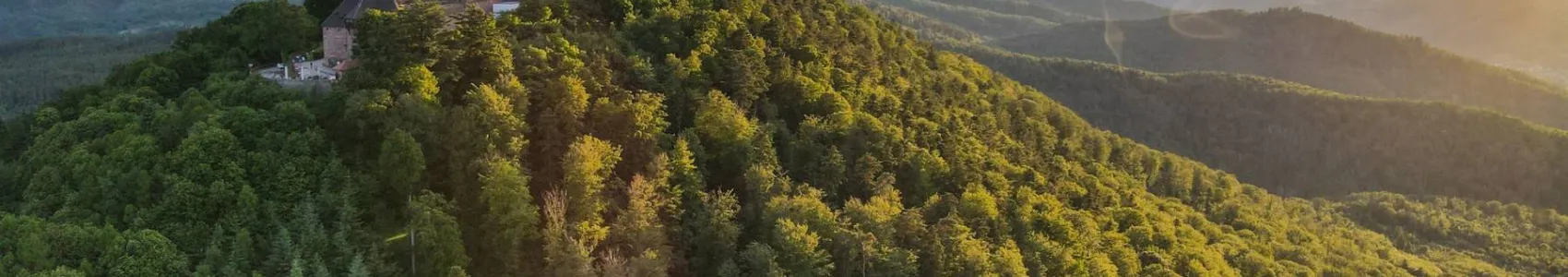 Trail Alsace Grand Est by UTMB®