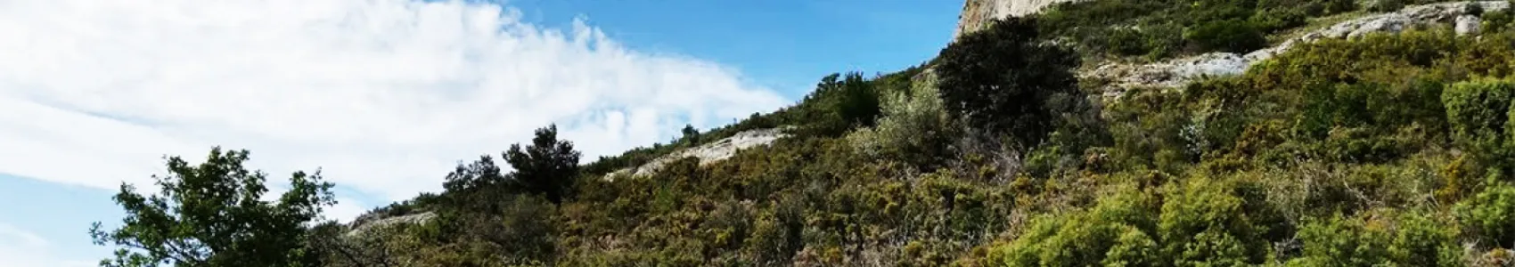 Trail des Calanques