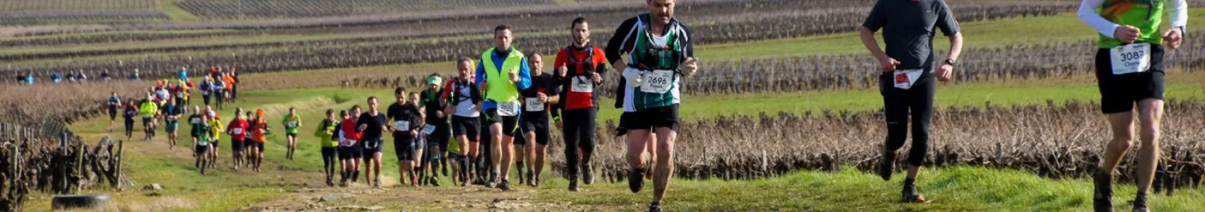Trail du Vignoble Nantais