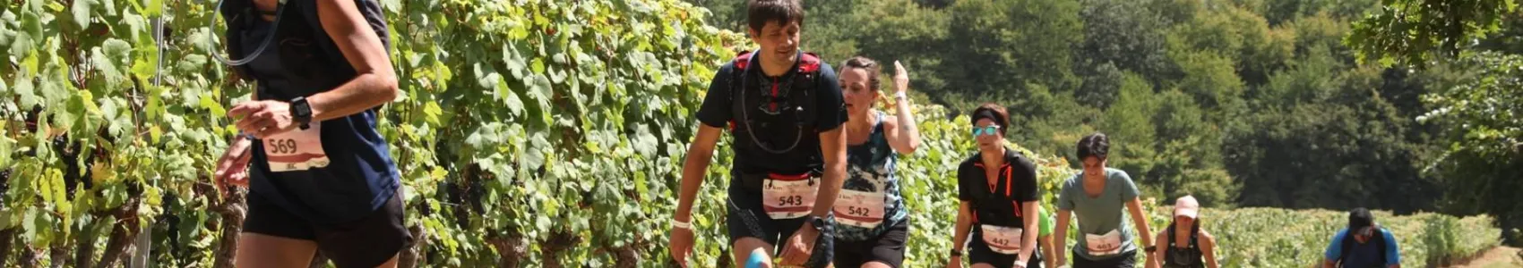 Saint Mont Vignoble en Course