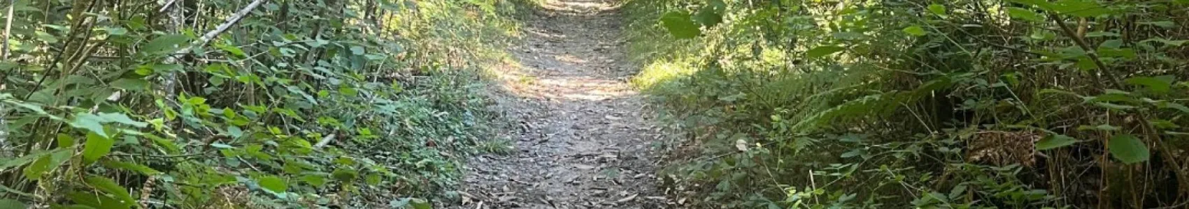 Paléotrail des Charentes