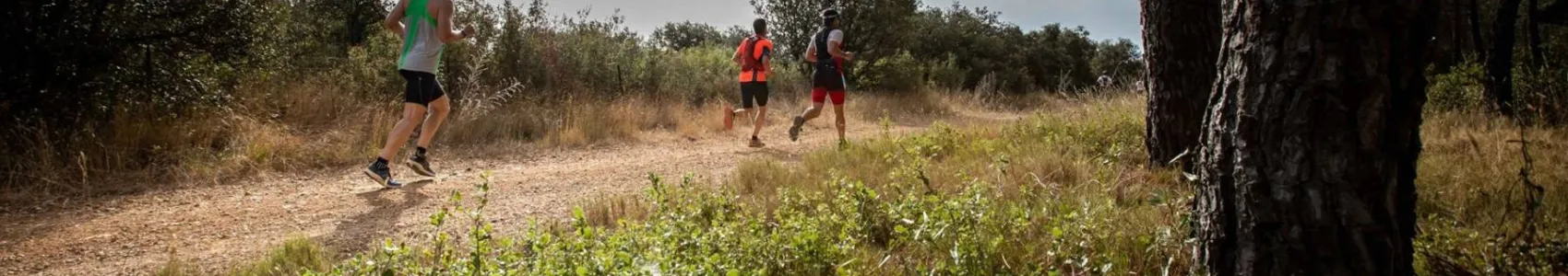 Trail des Vendanges