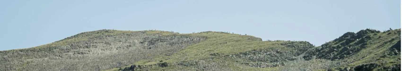 Trail Coma d'Or