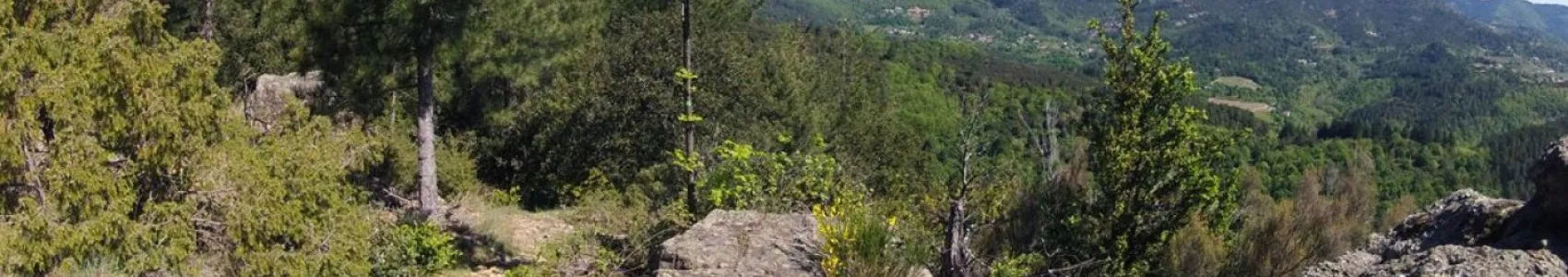 Taranis Arga Trail