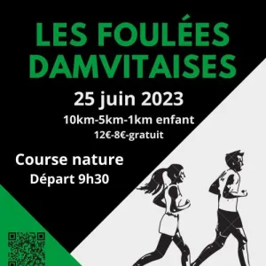 Les Foulées Damvitaises