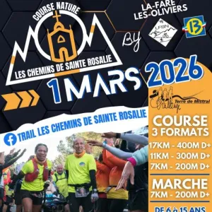 Les Chemins de Sainte Rosalie