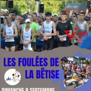 Les Foulées de la Bêtise