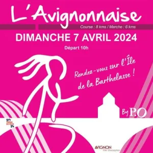 L'Avignonnaise