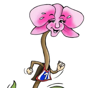 Trail des Orchidées