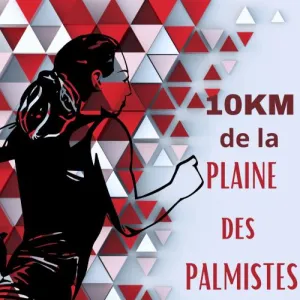 10 km de la Plaine des Palmistes