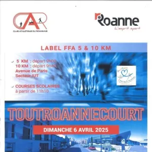 Tout Roanne Court