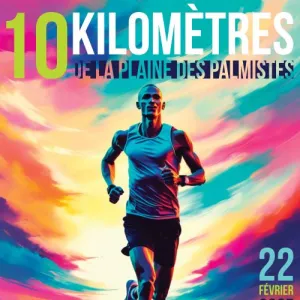 10 km de la Plaine des Palmistes