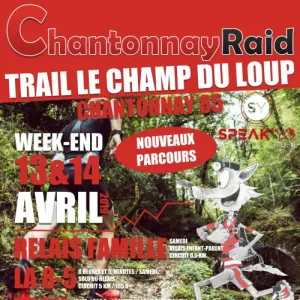 Trail Le Champ du Loup