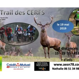 Trail des Cerfs