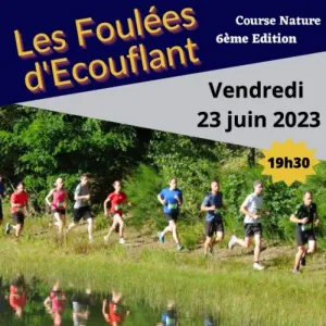 Les Foulées d'Ecouflant