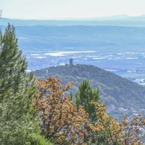 Trail des Collines de Giono