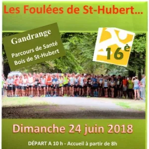 Les Foulées de Saint Hubert