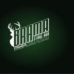 Brama Stage Run