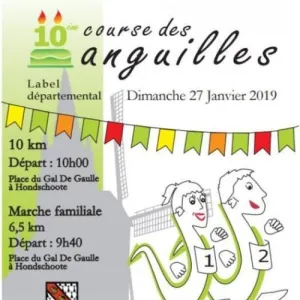 Course des Anguilles