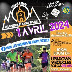 Les Chemins de Sainte Rosalie